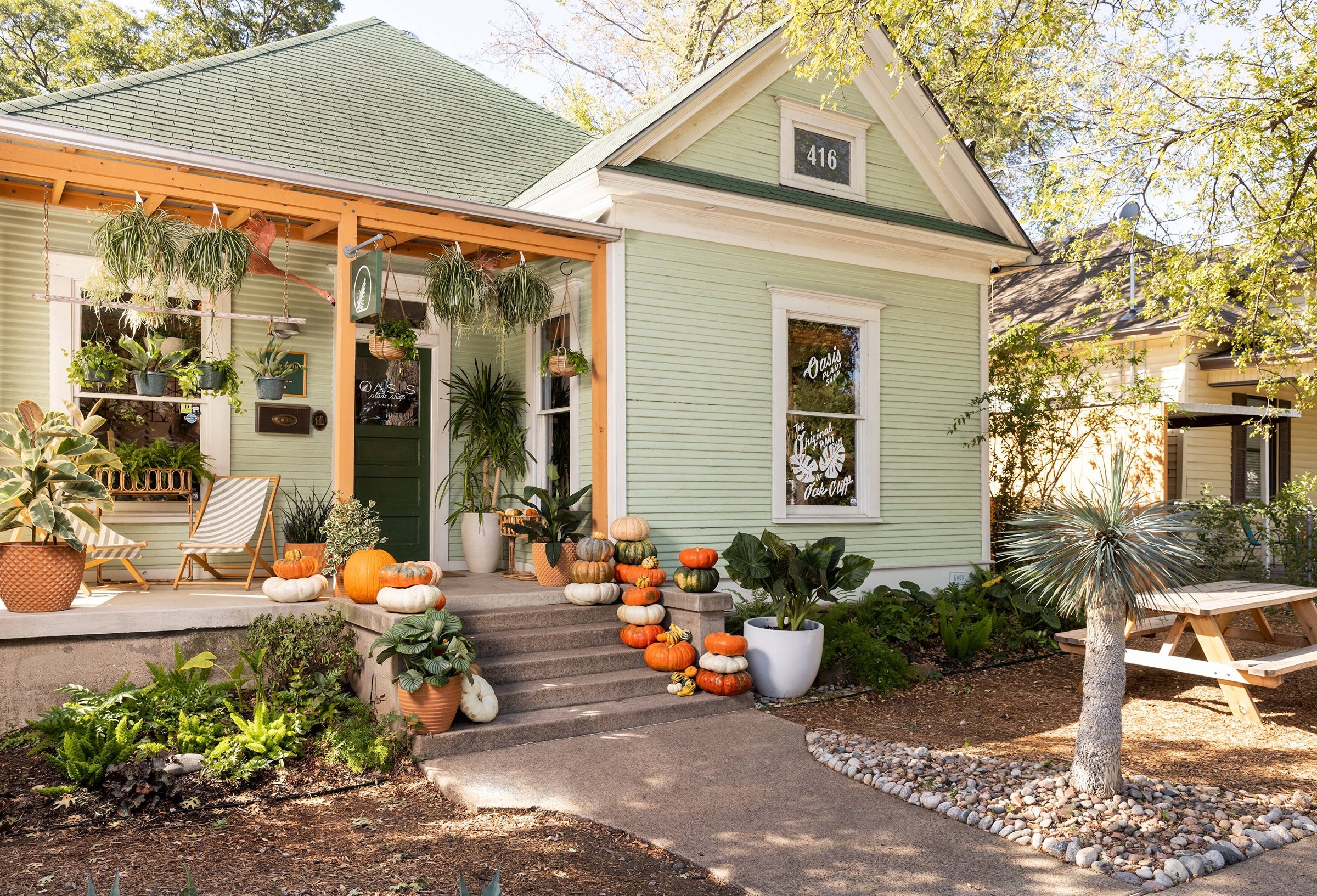 Oasis Plant Shop | My Site